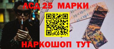 бошки Гатчина