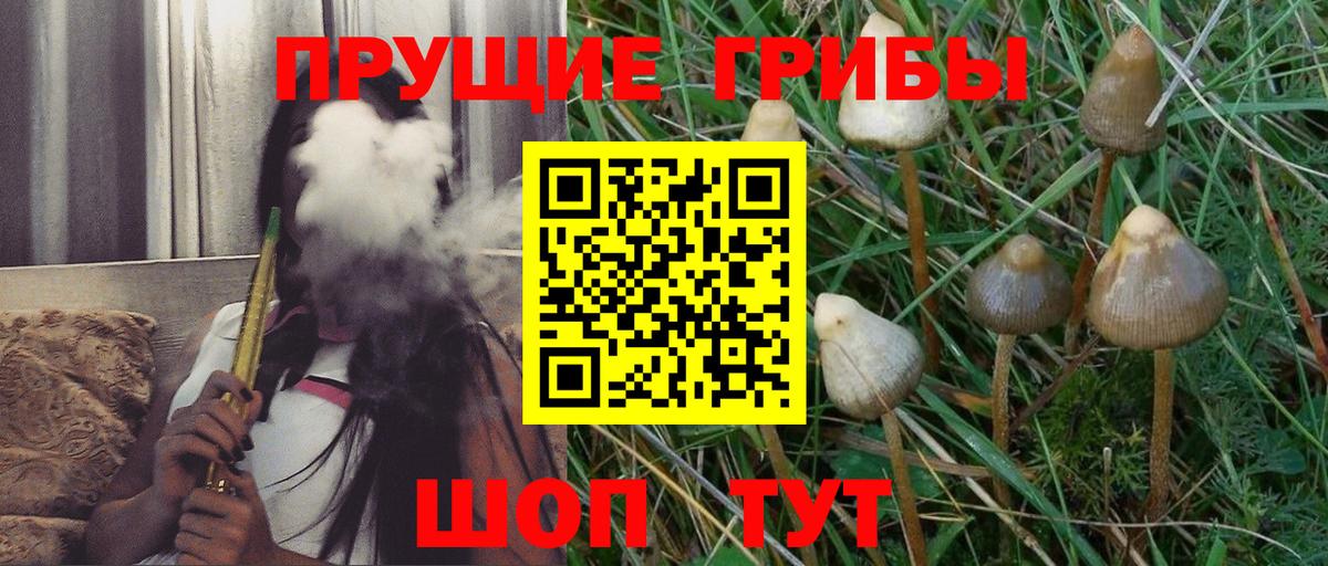 Галлюциногенные грибы Magic Shrooms Свободный