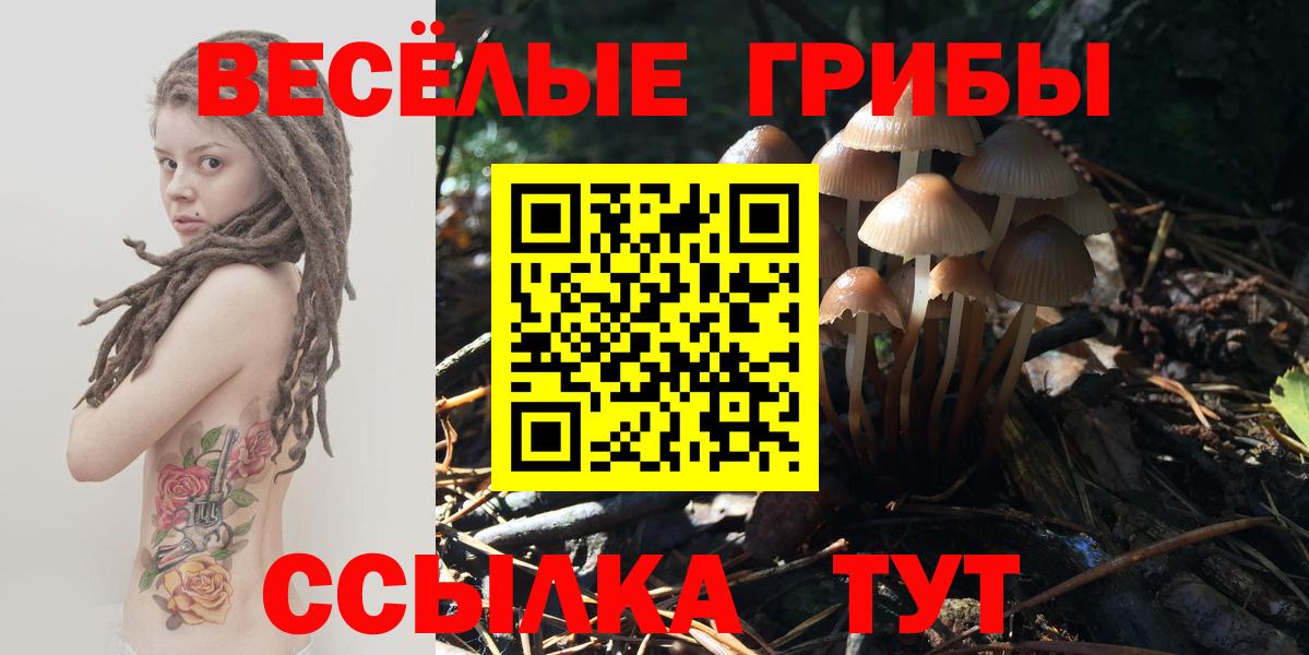 Псилоцибиновые грибы MAGIC MUSHROOMS  Псилоцибиновые грибы мицелий  Вход с VPN  Свободный 